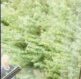 Sch�ne Aussicht!!!